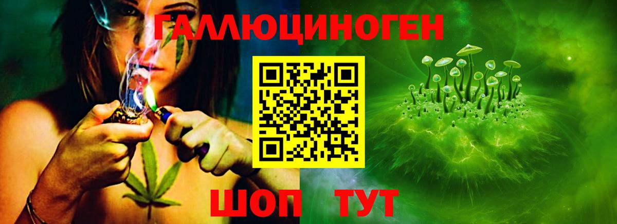 Домодедово  Псилоцибиновые грибы Cubensis  Вход с VPN  Псилоцибиновые грибы мухоморы 